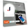 Tuya Wi-Fi Wall Switch — Dimmer Switches, MALITAI