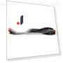 Replacement Main Brush — Parts & Accessories, Health & Beauty PRODUCT