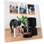 Smart Timed Auto Pet Feeder for Dogs and Cats — Automatic Feeders, Tuya