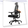 Ergonomic Office Chair with Auto-Following Backrest and Adjustable Headrest — Desk Chairs, NEWTRAL