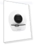 Intelligent Cat Toilet — Self-Cleaning, एल्सपेट