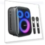 Karaoke Speaker with Wireless Microphones — Portable Audio Solutions, Tronsmart