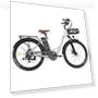 Lasting Electric Bike — E-Bikes, Fafrees