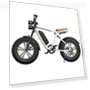 Fat Tires Electric Bike — Electric Self-Balancing Scooters, ENGWE