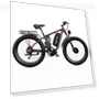 Electric Bike — Electric Self-Balancing Scooters, DUOTTS