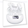 Bluetooth 5.3 Wireless Earbuds with ENC Noise Cancelling Mic — In-Ear Headphones, Bcaikair