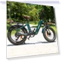 Master Electric Bike — Electric Self-Balancing Scooters, Fafrees