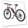Electric Bike — Batteries, Fafrees