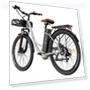 Lasting Electric Bike — Electric Self-Balancing Scooters, Fafrees