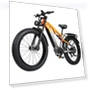 Electric Bike — Electric Vehicles, RANDRIDE