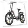 Foldable Electric Bike — Electric Self-Balancing Scooters, Fafrees