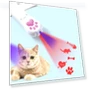 Rechargeable Projector Cat Toy Laser — Cat Playthings