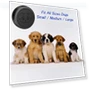 Smart Wireless Dog Doorbells for Potty Training — Doorbells, EverNary