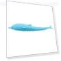 Catnip Cat Teeth Cleaning Silicone Dolphin Toy — Dental Care