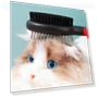 Double-sided comb with protective points — Combs