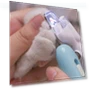 Pet Nail Clippers with LED Lighting — Claw Care
