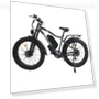 Electric Bike — E-Bikes, Orlms