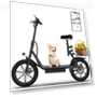 Electric Scooter with Seat — Electric Self-Balancing Scooters, MAXSHOT