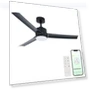 Smart Indoor and Outdoor Ceiling Fan with LED Light Kit — Ceiling Fan Wall Controls, East Grove Home