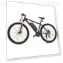 Electric Mountain Bike — Electric Self-Balancing Scooters, Eleglide