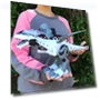 Electronic Walking Dinosaur Toy — Interactive Learning Devices, LYZRC