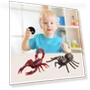 Remote Control Spider Toy — Interactive Figures & Robots, EDC Toy