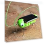 Solar Powered Educational Robot Toy — Solar Power, A qi