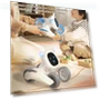 Interactive RC Robot Puppy — Interactive Animal Companions, JJRC