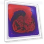 Liquid Sensory Floor Tile — Infant & Early Childhood Playthings, OutsideWorld