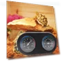 Dual Disc Hygrometer for Reptiles — Hygrometers, Xinsheng