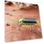 Creative Fun Solar-Powered Robot Insect — Solar Power, Toy