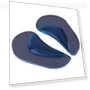 Orthopedic Arch Support Insoles — , Zoeneed