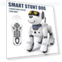 Programmable Interactive Robot Dog — Interactive Animal Companions, Axial