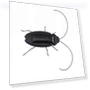 Solar-Powered Educational Robot Cockroach Toy — Solar Power, roses