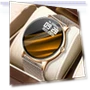Bluetooth Smartwatch — Smartwatches, Tiktop2