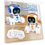 Interactive Robot with Remote Control — Interactive Figures & Robots, Toy