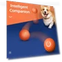 Automatic Moving Dog Toy Ball — Automatic Launchers, HOME-Auto-001