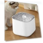 Automatic Water Fountain for Cats — Pet Hydration Solutions, HOME-Auto-001