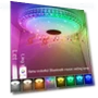 Colorful Bluetooth Speaker Ceiling Light — Ceiling Fan Lighting Solutions, Refreshing Home