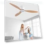 Modern Ceiling Fan — Ceiling Fans, Seahorse Home