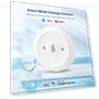 Water Leak Sensor — Water Leak Detection Systems, HOME-Auto-001
