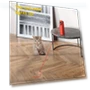 Infrared Light Automatic Cat Tease Device — Cat Playthings, Great3C