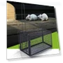 Smart Self-Locking Mousetrap — Traps, Lansoon Literary Girls-064