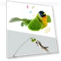Feather Toy for Cats — Cat Playthings, HQ Pretty