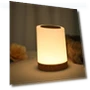Night Light with Sensitive Touch Control — Night Lights, Neoglint