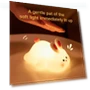 Rabbit Night Light with Timer — Lamps & Shades, Home Kits