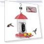 Smart Hummingbird Feeder with Camera — Backyard Birding, TOMTOP JMS