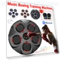 Smart Musical Boxing Machine — Boxing Training Gear, Binchi Keji Travel