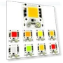 50W COB Light Source — Garden Illumination, Zhen Qin Global