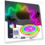 Neon LED Strip Lights — LED Strips, AIMINGTE Light Accessories
